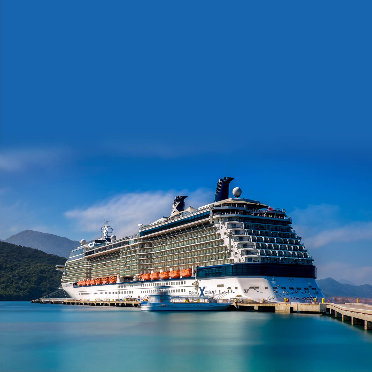 Celebrity Silhouette