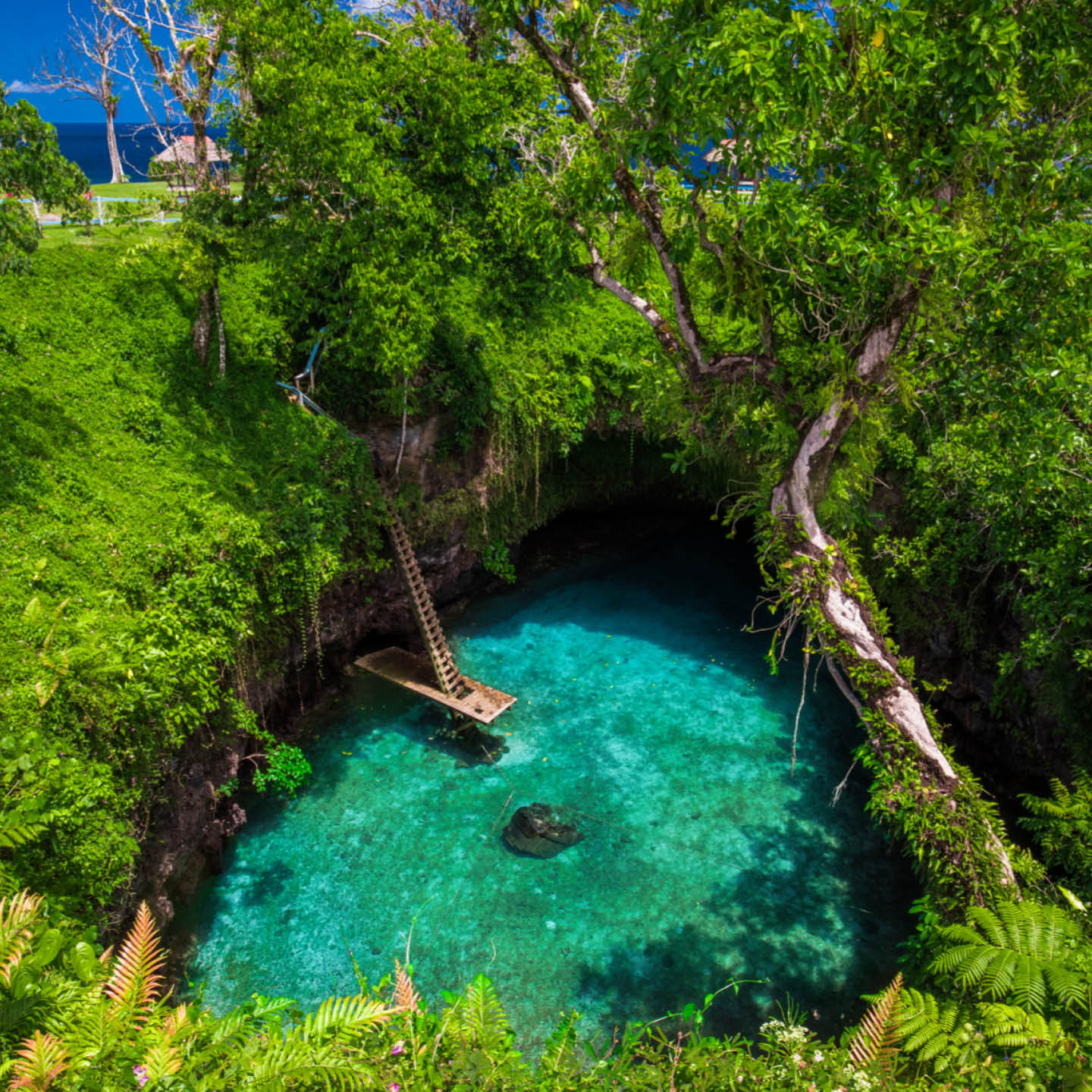 south-pacific-cruise-deals3-thumb.jpg