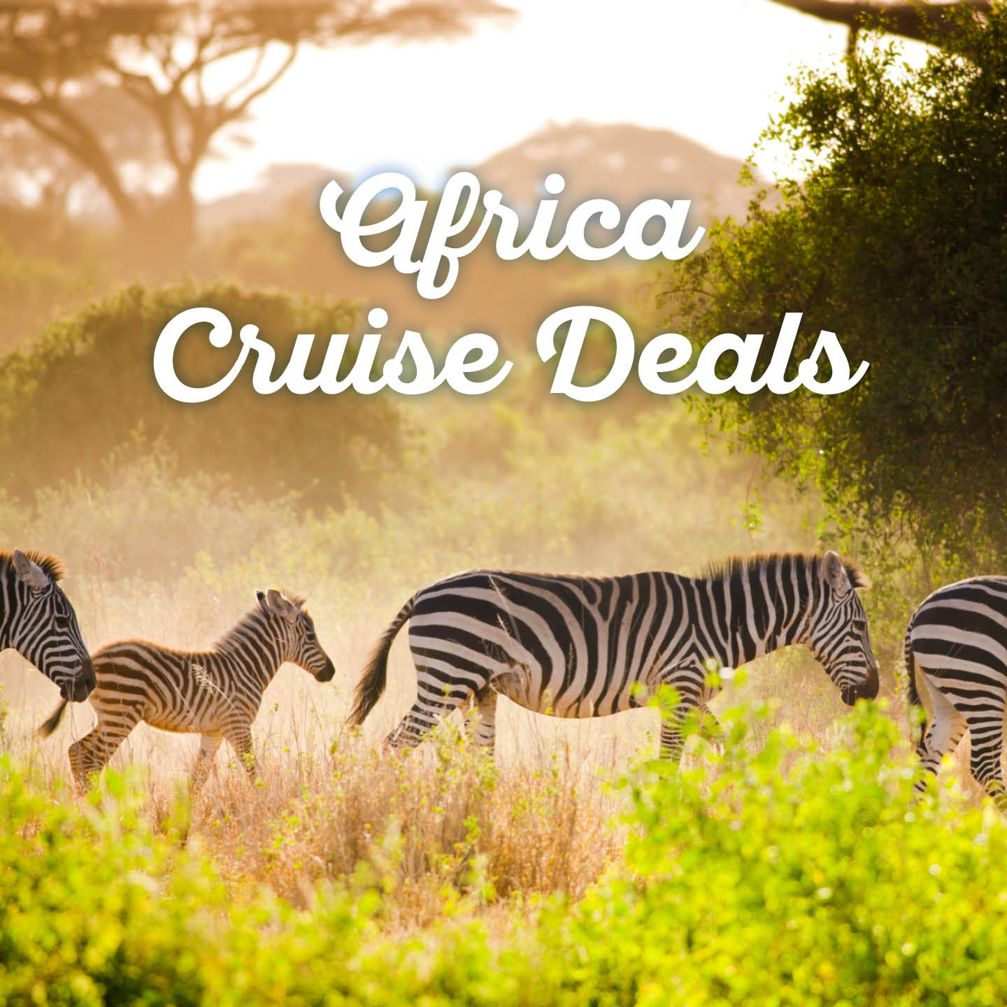 africa-cruise-deals1-thumb.jpg