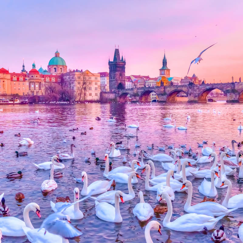 Eastern European & British Adventure