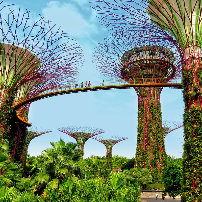 south-east-asia-nov-2025-2-thumb.jpg