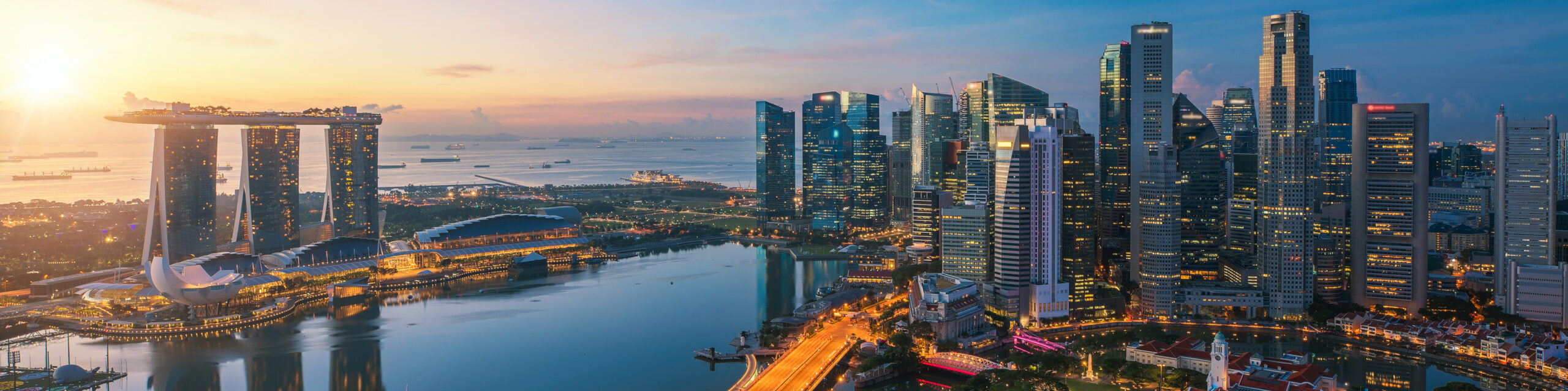 Singapore banner.jpg