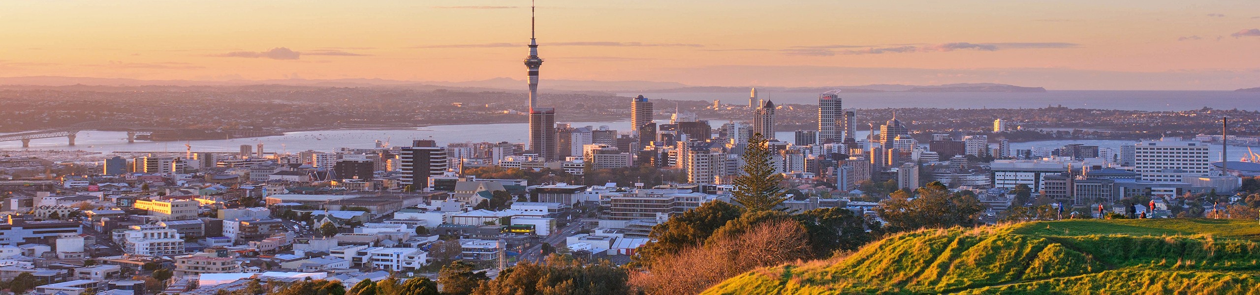 Auckland banner.jpeg