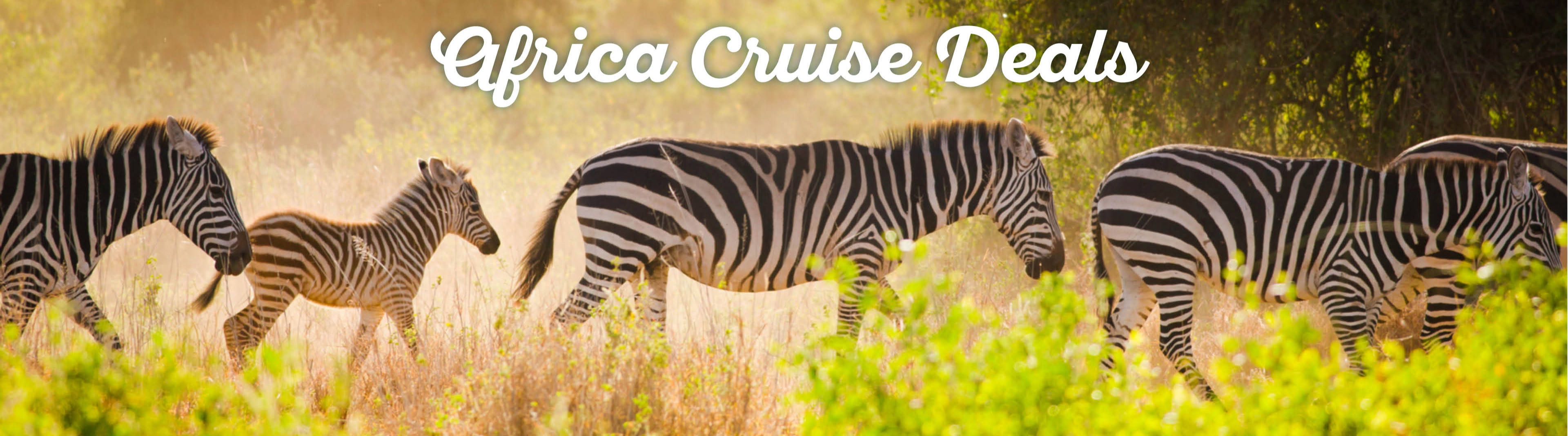 africa-cruise-deals2.jpg