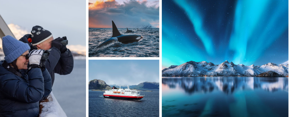 Norway’s Icons: Northern Lights Discovery Voyage with Bergen & Oslo Escapes